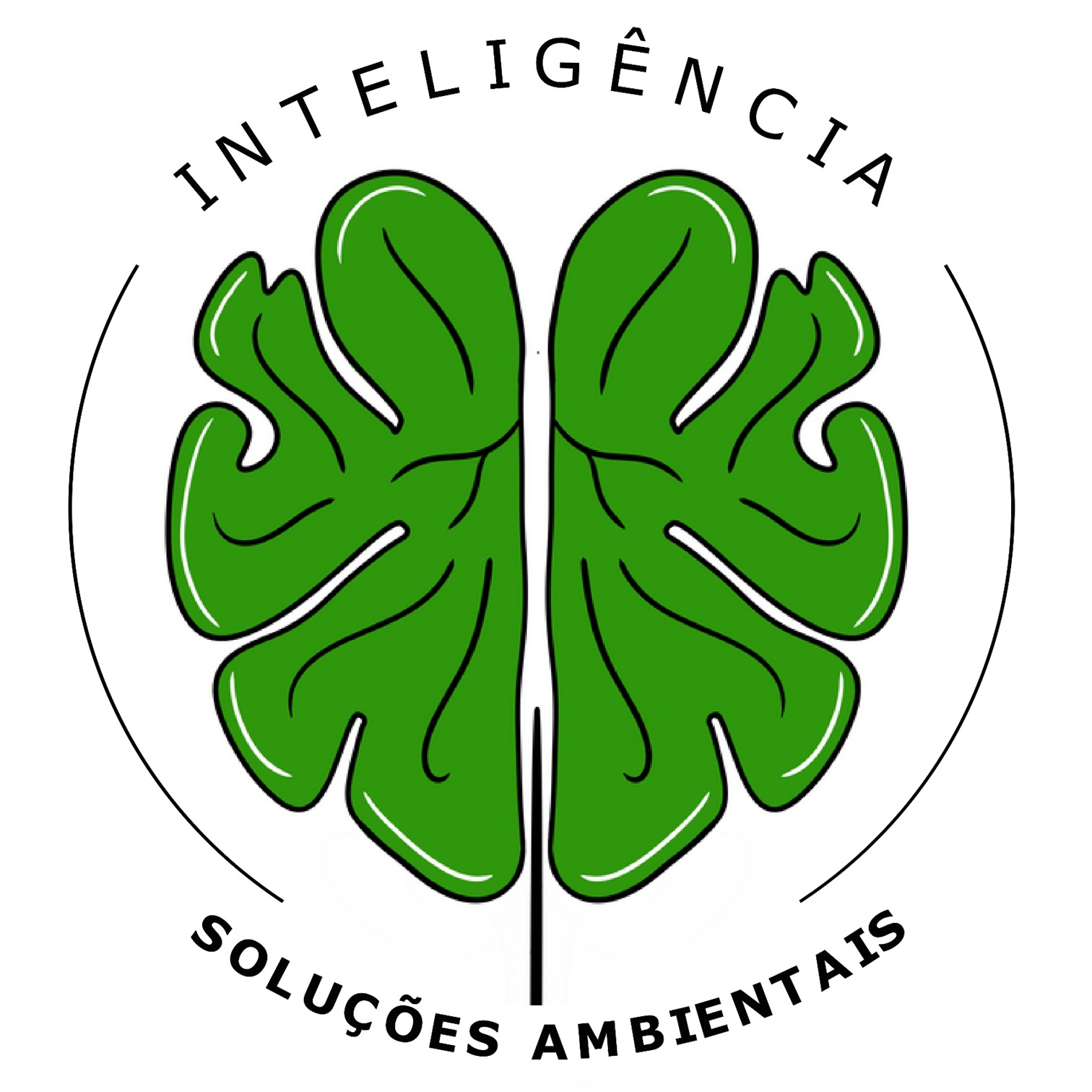 Inteligência Soluções Ambientais